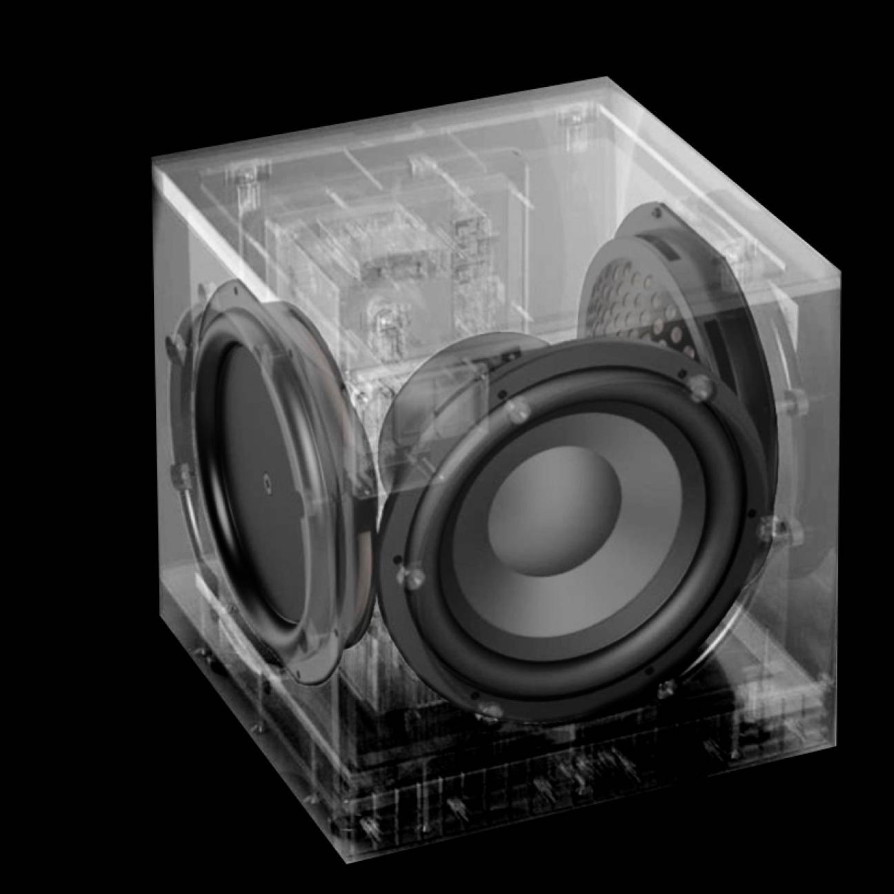 Definitive Technology Descend DN10. Subwoofer 10" 500 Watts